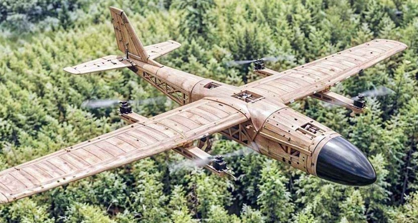 বিশ্বের প্রথম বাঁশের তৈরি ড্রোন আনলো চীন